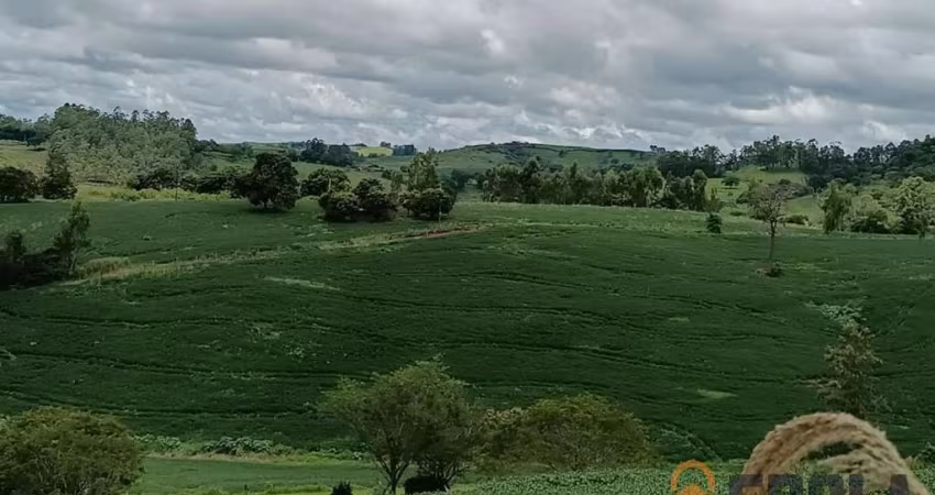 Sítio para Venda em Nova Tebas, Zona Rural