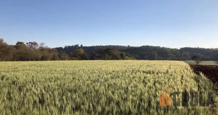 Chácara / sítio à venda na Área Rural de Campo Mourão, Campo Mourão 
