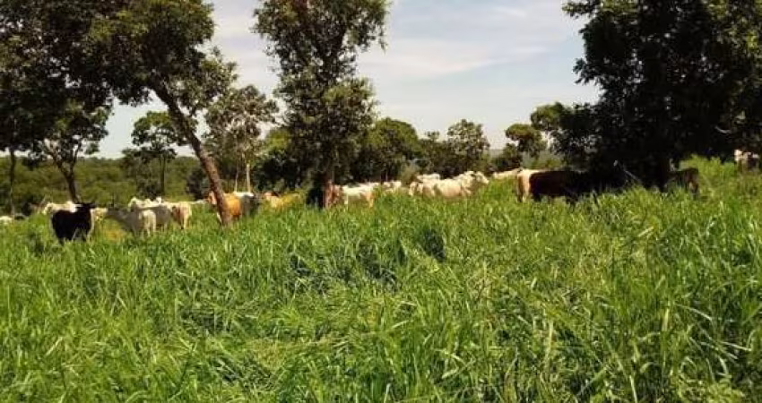 Fazenda para Venda em Pedro Gomes