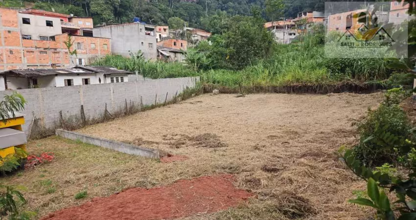Terreno à venda na rodovia índio tibiriçá – ribeirão pires, plano e bem localizado
