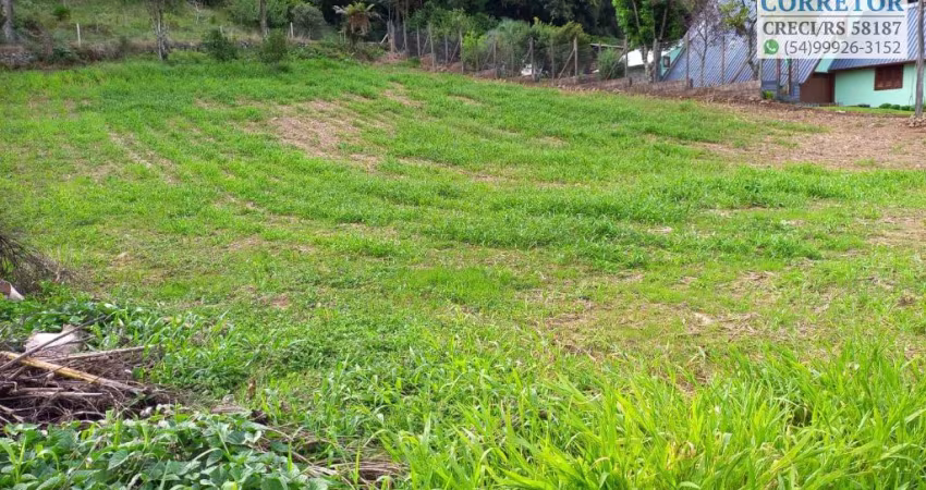 Terrenos na RS235 à venda Nova Petrópolis, Serra Gaúcha