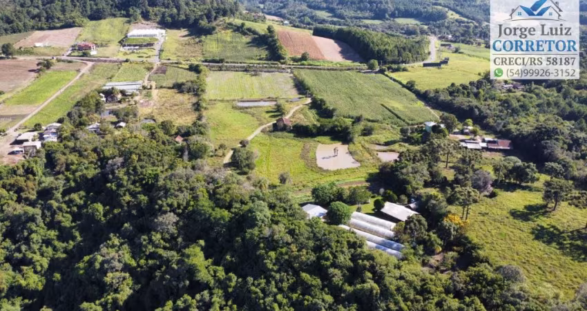 Área/sítio na RS235 em Nova Petrópolis