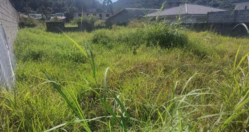 Terreno 446 m2 - Ambrósio - Financiável