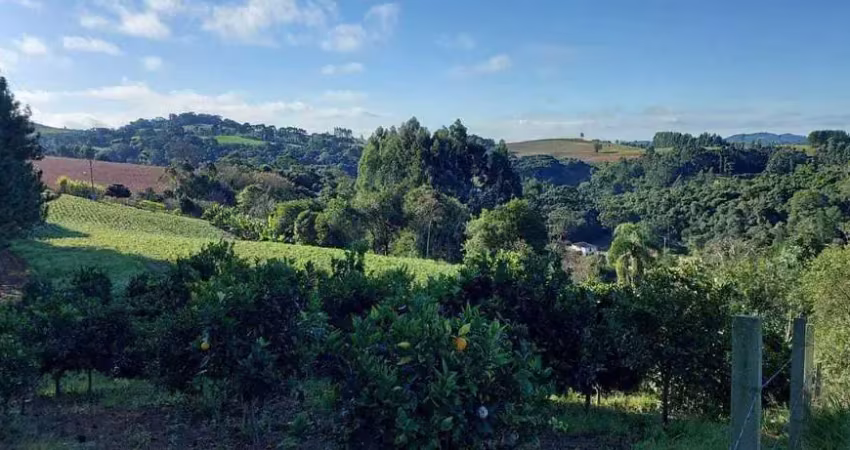 Chácara / sítio com 2 quartos à venda no Bateias, Campo Largo 