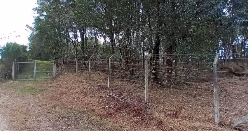 Chácara / sítio com 1 quarto à venda na Zona Rural, Campo Largo 