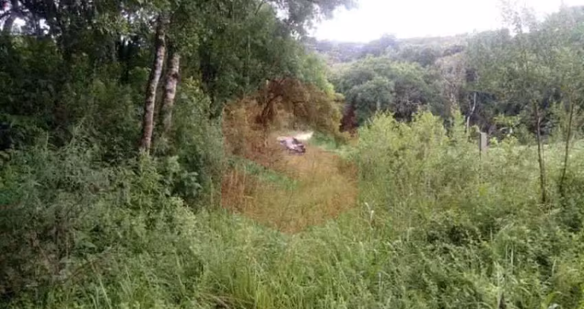 Chácara / sítio com 1 quarto à venda na Zona Rural, Campo Largo 