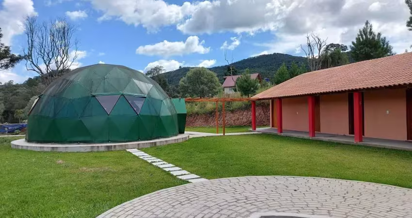Chácara / sítio com 6 quartos à venda no Felpudo, Campo Largo 