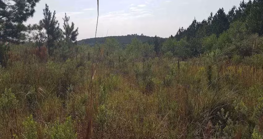 Terreno comercial à venda na 3 Barras de Cima, Bateias, Campo Largo