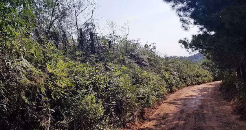 Chácara / sítio à venda na Rua Cassimiro Karman, s/n, Bateias, Campo Largo