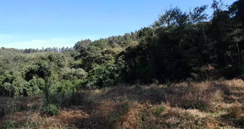 Terreno comercial à venda na 3 Barras de Cima, Campina do Vargedo, Campo Largo