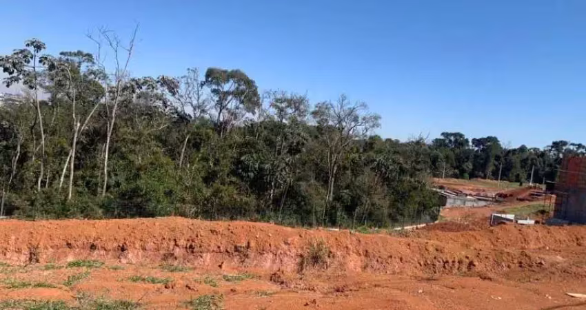Terreno em condomínio fechado à venda na Avenida P.L. do Brasil, 720, Portão, Arujá