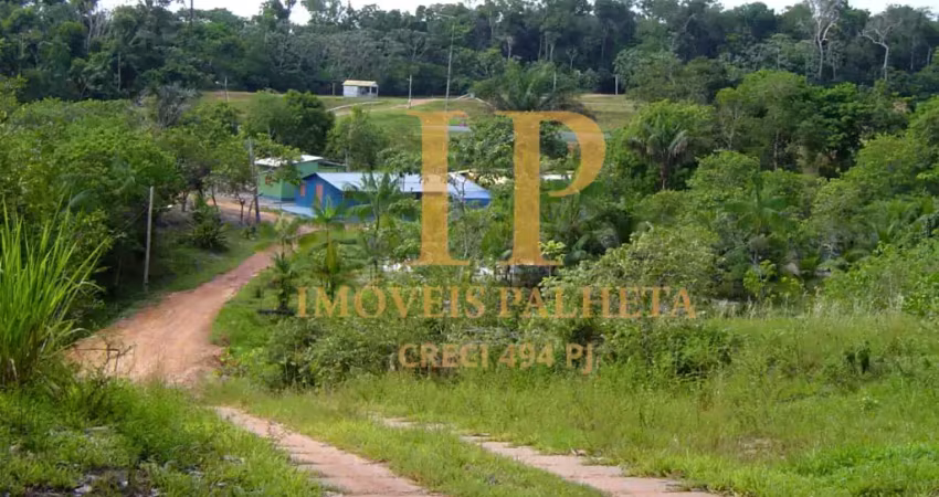 Vende-se sítio-fazenda com 90 hectares, vila lindoia, na estrada de itacoatiara