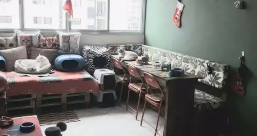 Apartamento no condomínio jian na bela vista com 72m² 2 dormitórios 1 banheiro