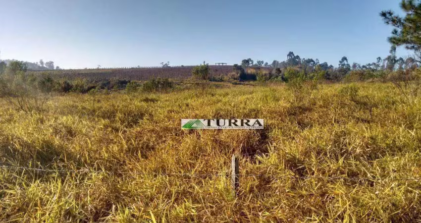 Área à venda, 28000 m² por r$ 1.200.000,00 - mato dentro - jundiaí/sp