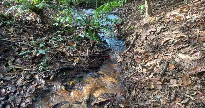 Terreno à venda na Módulo, s/n, 100, Pedra Azul, Domingos Martins