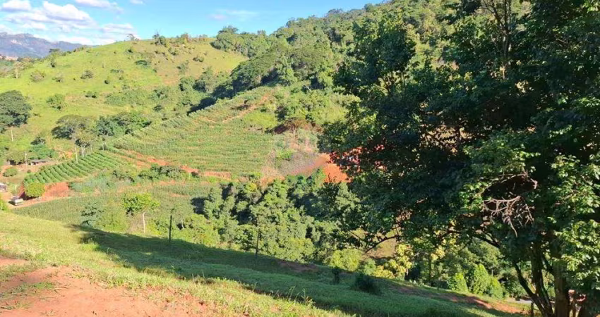 Sítio Produtivo à Venda – 7,5 Alqueires de Terra Fértil com Infraestrutura Completa!
