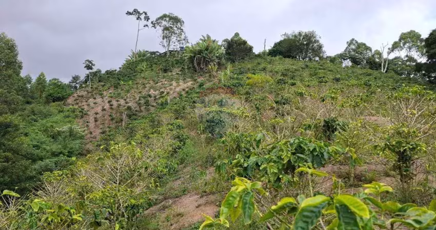 OPORTUNIDADE DE INVESTIMENTO, Sítio Ipê Branco em Santo Expedito,  Alto Caldeirão – Santa Teresa/ES