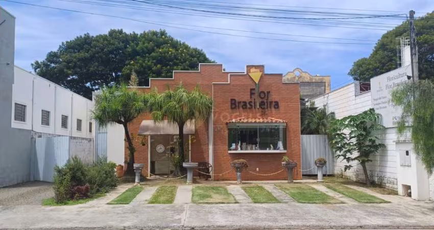 Salão Comercial Girassóis de Holanda - Holambra/SP