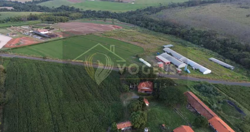 Fazenda à venda no Fundão, Holambra 