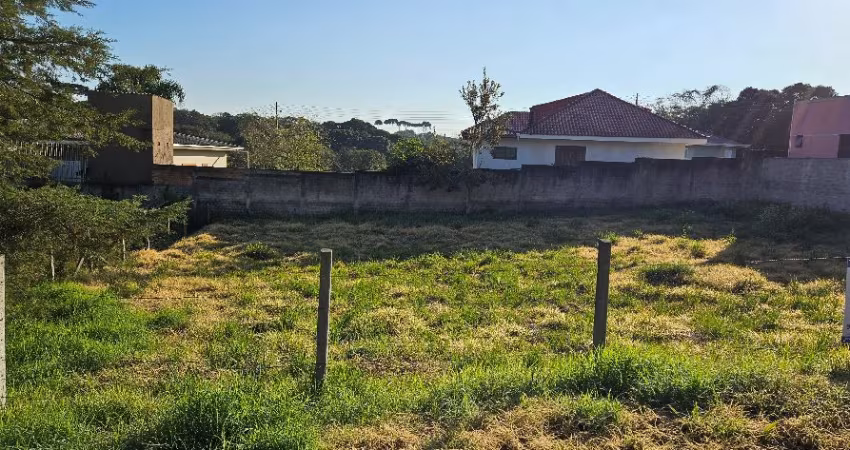 Terreno Urbano com ruas asfaltadas