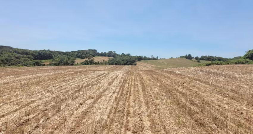 Área rural mecanizada