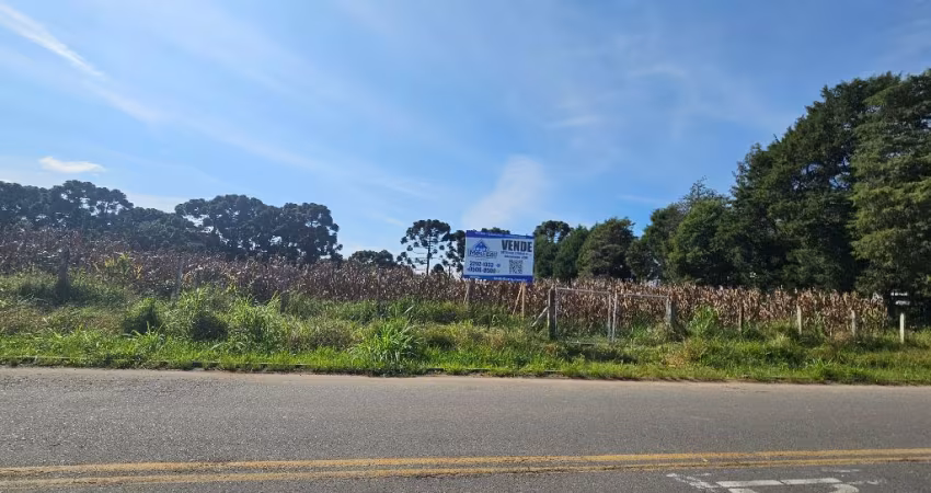 'Viva em Harmonia com a Natureza: Área Urbana Rodeado com Muito Verde!'.