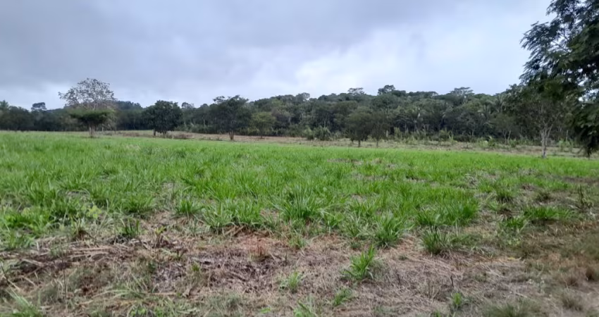 Lindo Sítio a Venda em Agrovila das Palmeiras