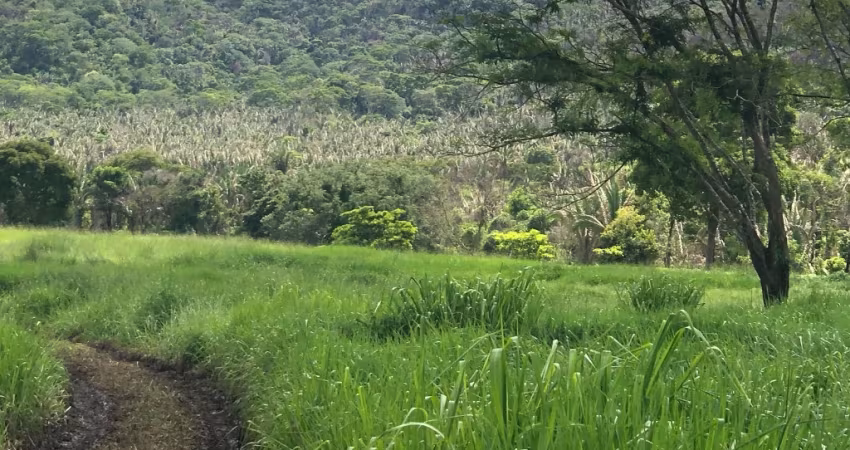 Fazenda à Venda