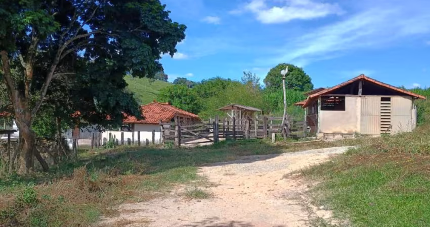 Fazendinha Aprox 25 hectares em Rio Manso