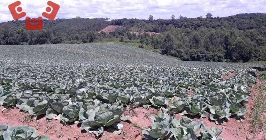 Terreno à venda, 700 m² por R$ 220.000,00 - Vila Verde - Ibiúna/SP