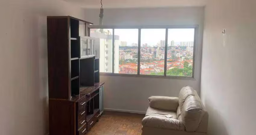 Apartamento  Cambuci 2 dormitórios