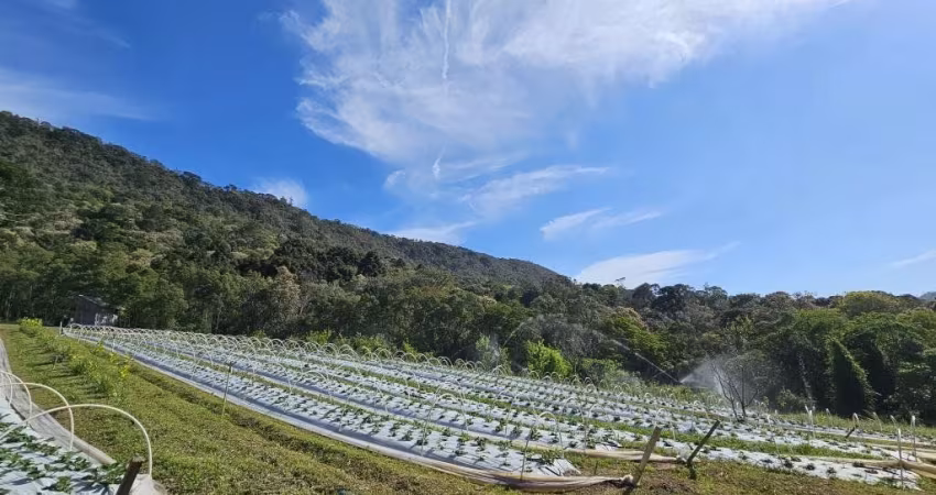 Amplo Terreno Ideal para Grandes Investimentos