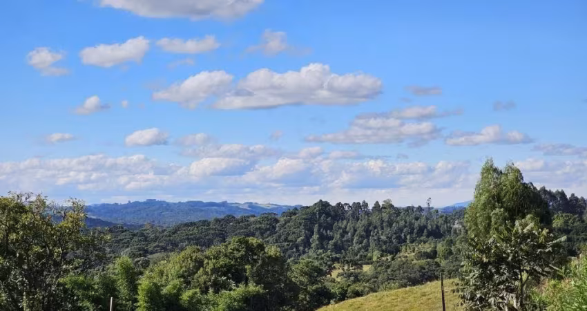 Chácara à venda em Campo Alegre - Ótima Opção para Investimento