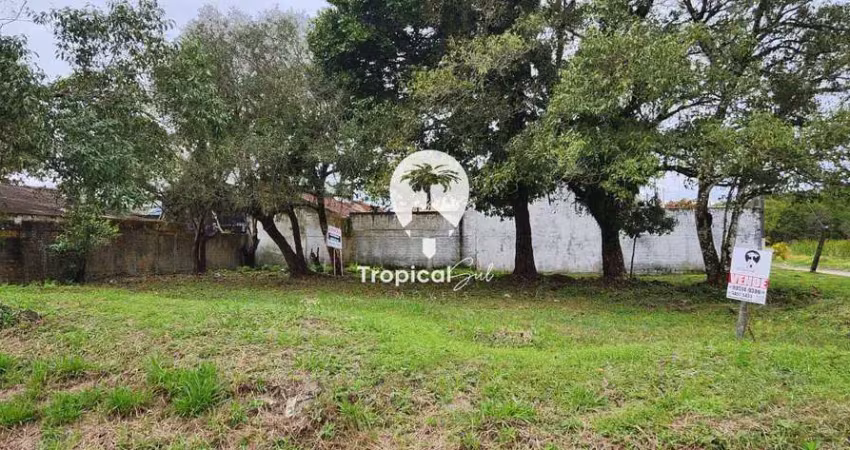 Terreno à venda frente rodovia, shangri-lá, pontal do parana - pr