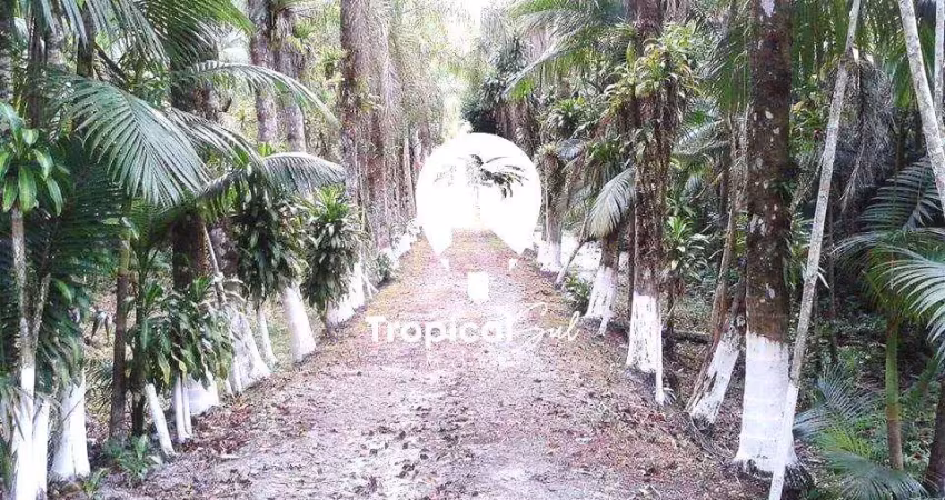 Área no litoral do paraná - guaraguaçú a 07 km do balneário praia leste