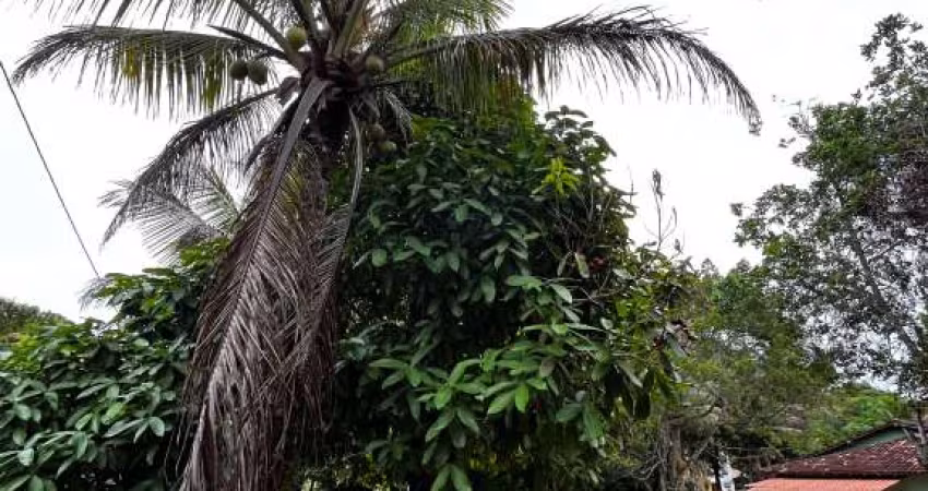 SÍTIO LOCALIZADO NO BAIRRO JAPARA ARRAIAL D’AJUDA BA