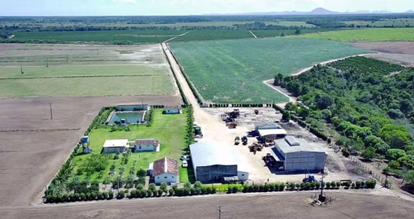 Fazenda Produtiva - Caraíva - Bahia