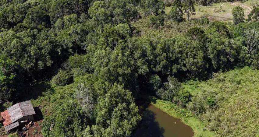Chácara à venda, 100000 m² por R$ 1.500.000,00 - Boqueirão - Guarapuava/PR