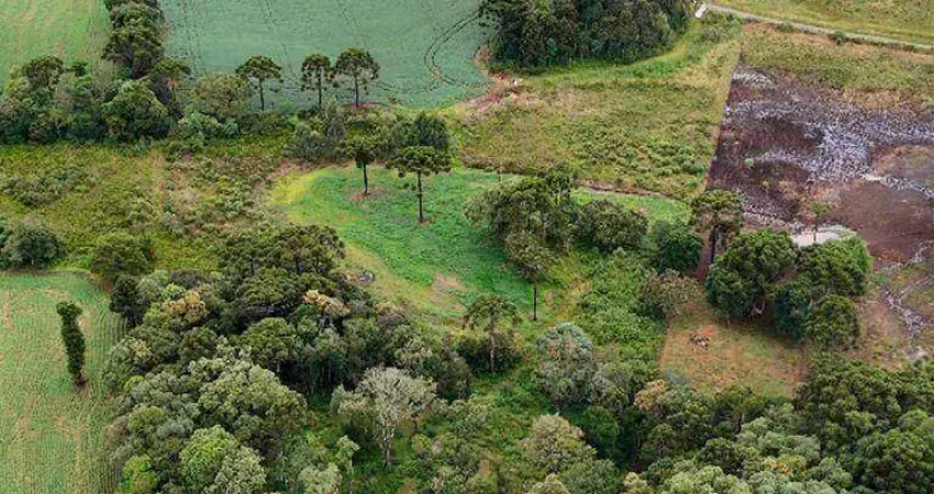 Chácara / sítio à venda na Área Rural de Guarapuava, Guarapuava 