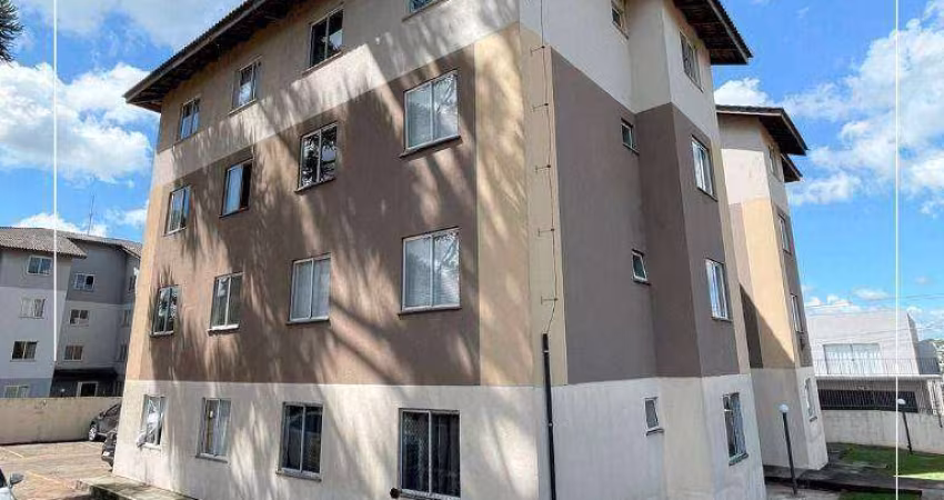 Apartamento com 2 dormitórios para alugar, 60 m² Conradinho - Guarapuava/PR