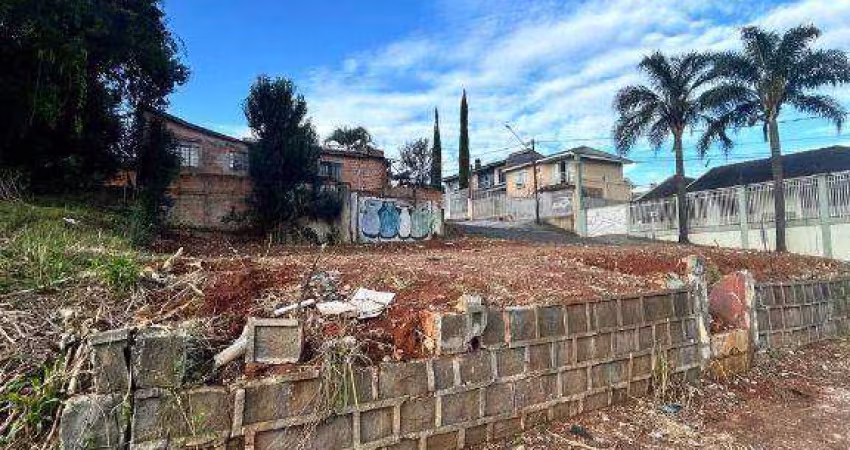 Terreno à venda, 285 m² por R$ 285.000,00 - Centro - Guarapuava/PR