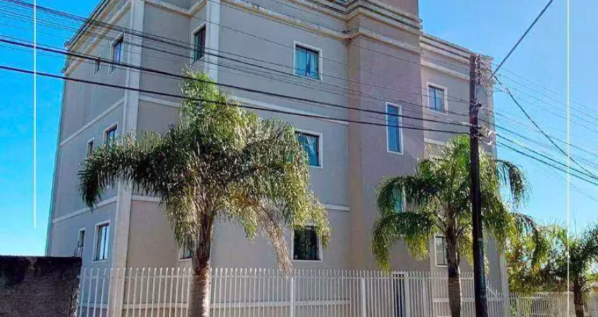 Apartamento para locação Morro Alto