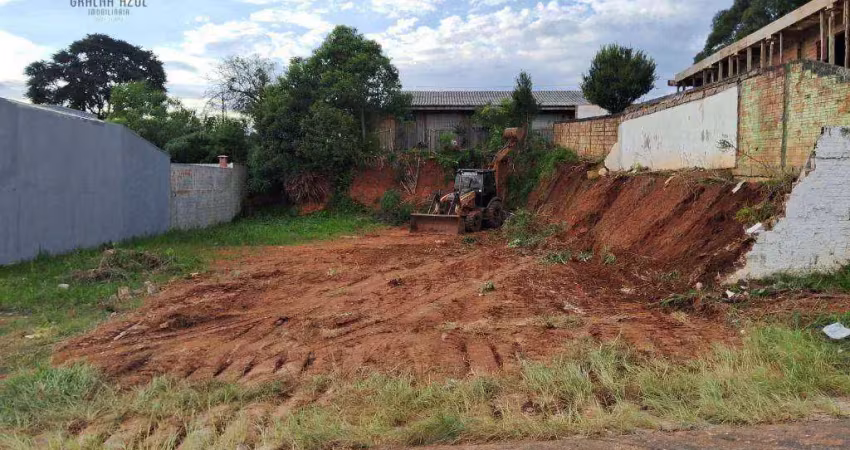Terreno à venda, 290 m² por r$ 190.000,00 - batel - guarapuava/pr