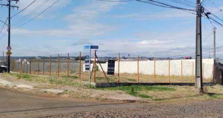 Terreno para alugar, 552 m² - industrial - guarapuava/pr
