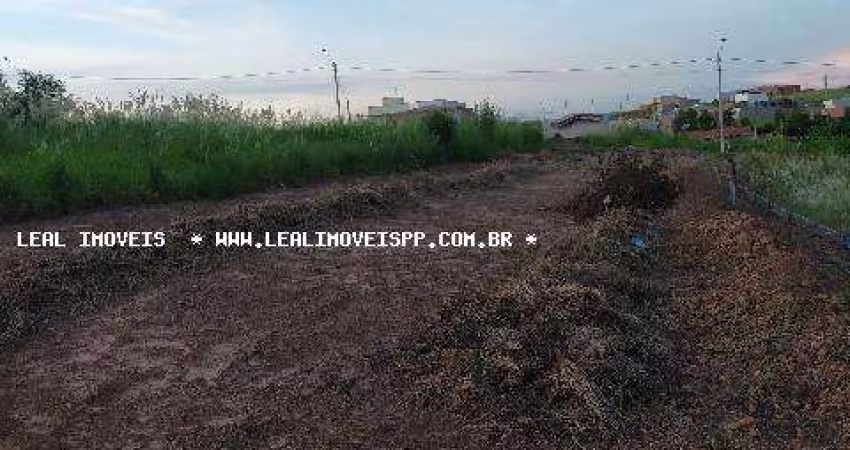 Terreno para Venda em Adamantina, PARQUE DOS PASSAROS
