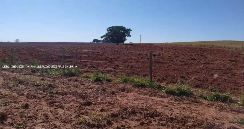 Chácara / sítio à venda na Zona Rural, Regente Feijó 