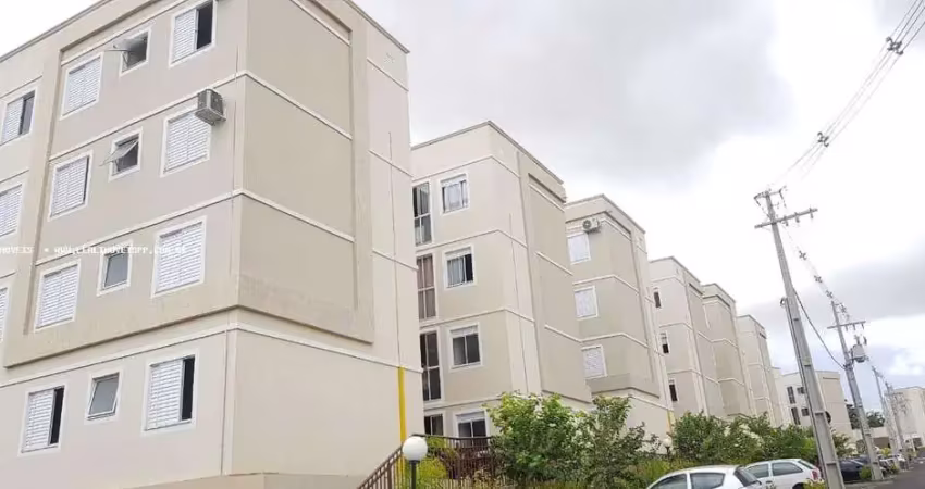 Apartamento para venda em presidente prudente, edificio prinicipe da bélgica, 2 dormitórios, 1 banheiro, 1 vaga