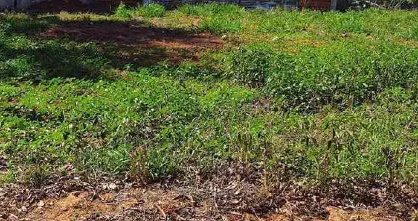Terreno em condomínio para venda em paulicéia, condomínio residencial ilha tibiriça