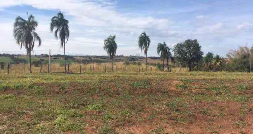 Chácara para Venda em Regente Feijó, Sítio Alvorada