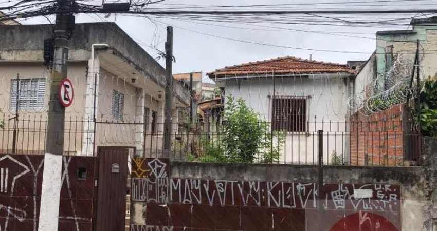 Lote para Venda em São Paulo, Vila Monte Alegre